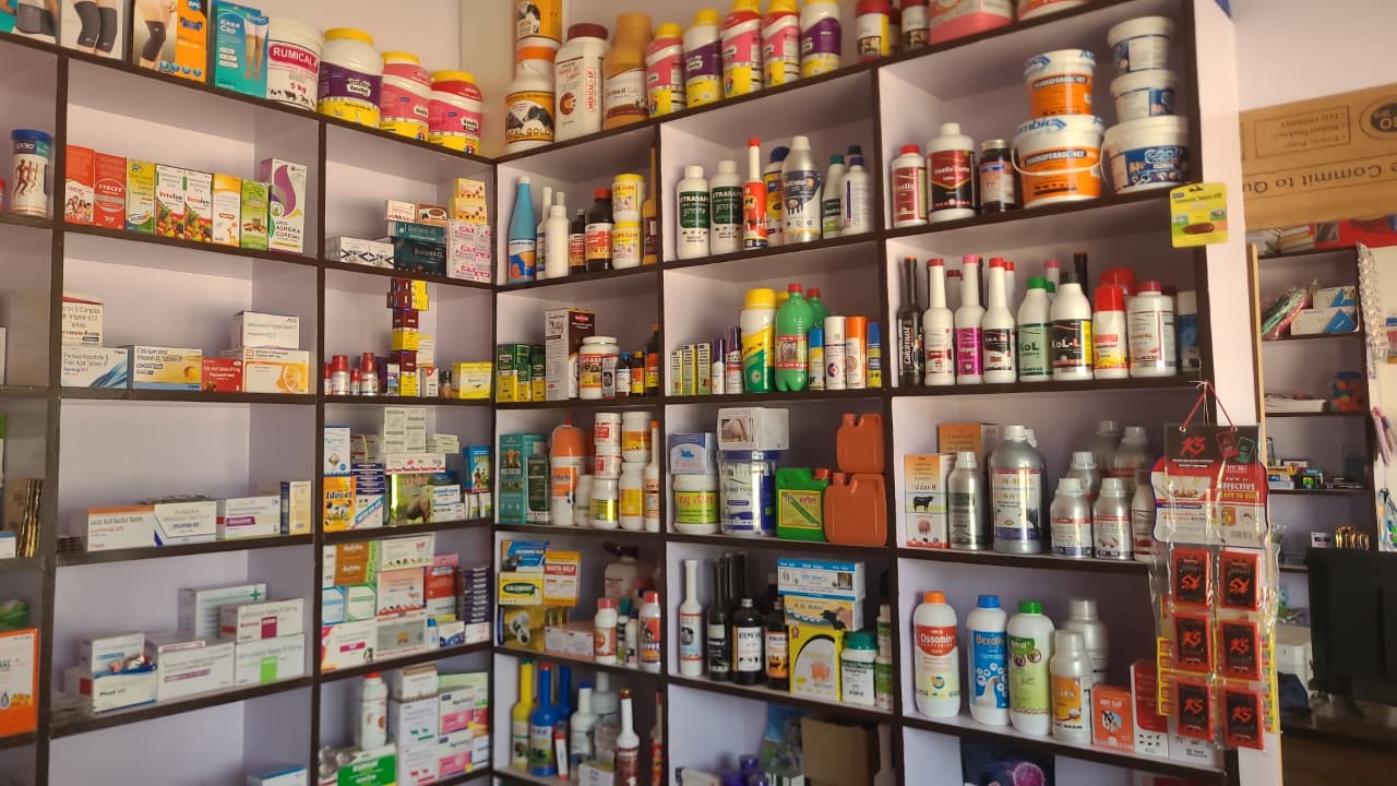 Divyanshi Medical Provision store